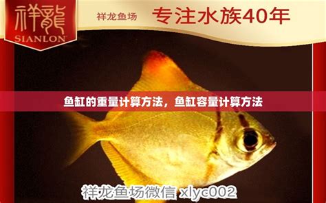 魚缸重量計算|鱼缸计算器